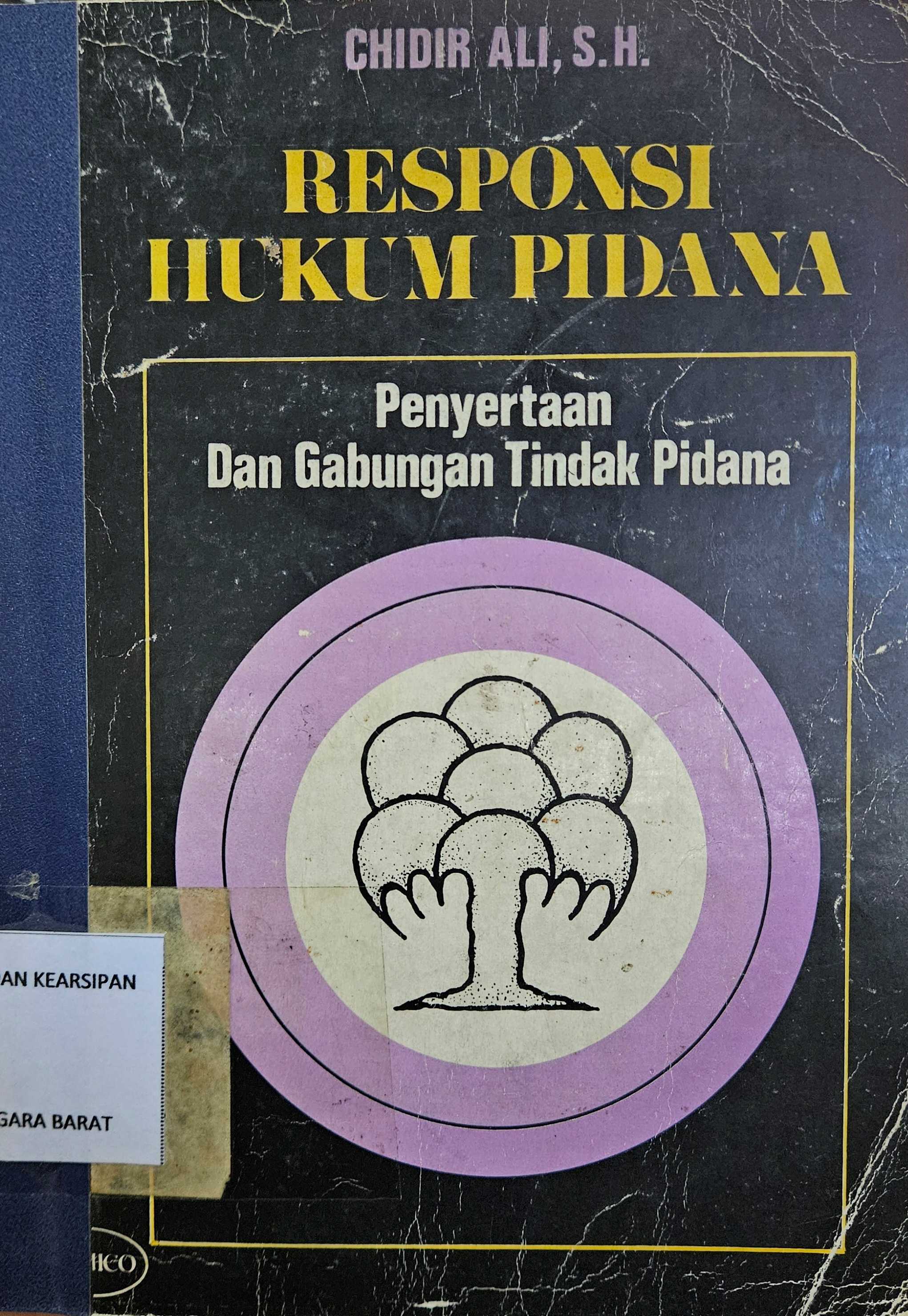 Cover Respansi hukum pidana (penyertaan dan gabungan tindak pidana) / Chidir Ali