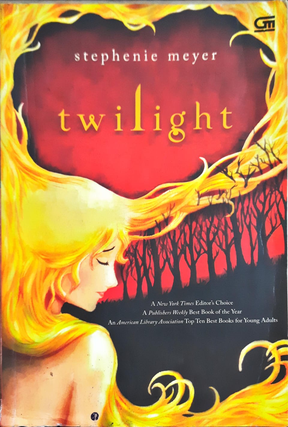 Cover Twilight / Stephenie Meyer