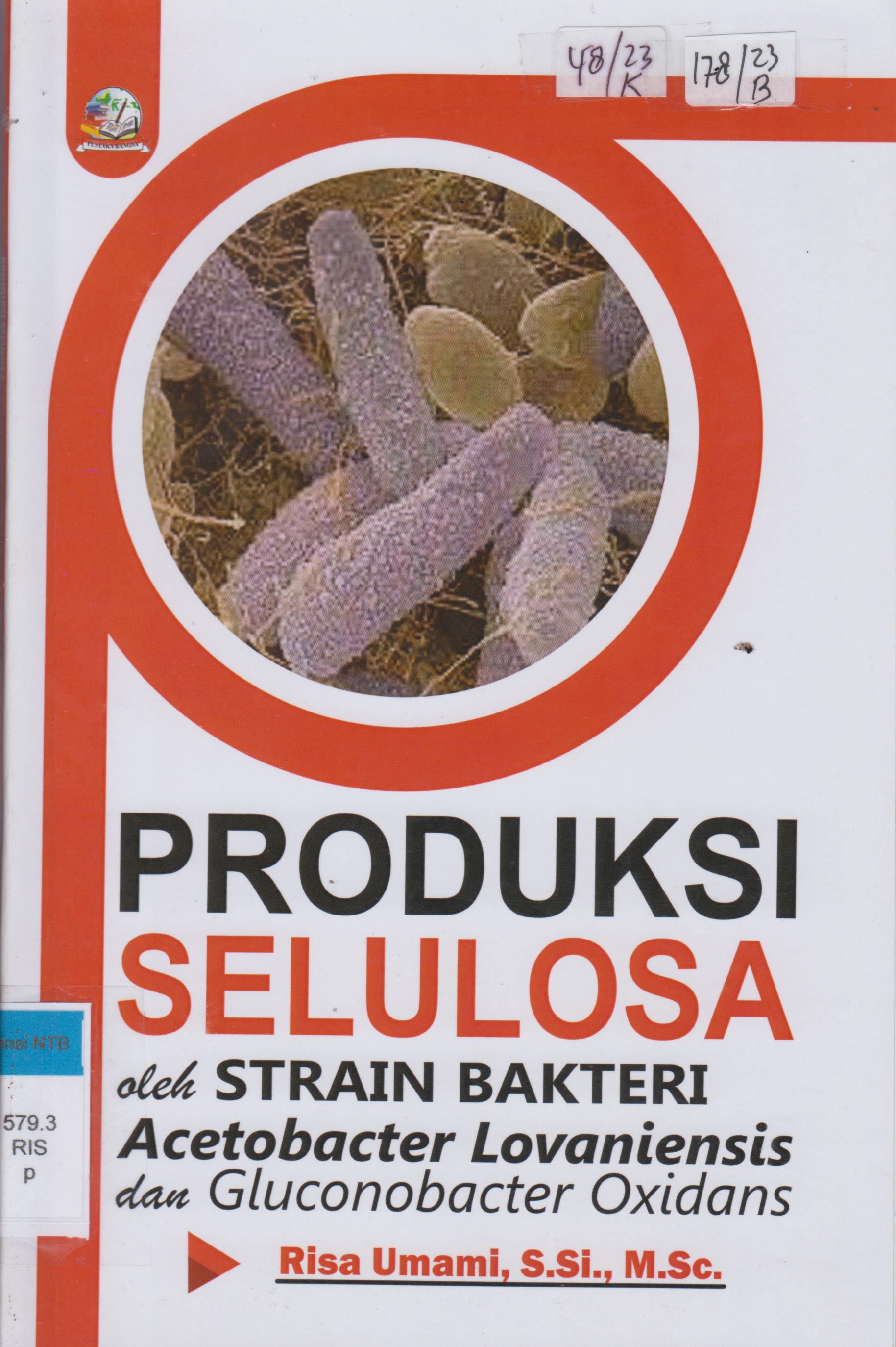 Cover Produksi Selulosa oleh Strain Bakteri Acetobacter Lovaniensis dan Gluconobacter Oxidans / Risa Umami, S,Si.,M.Sc