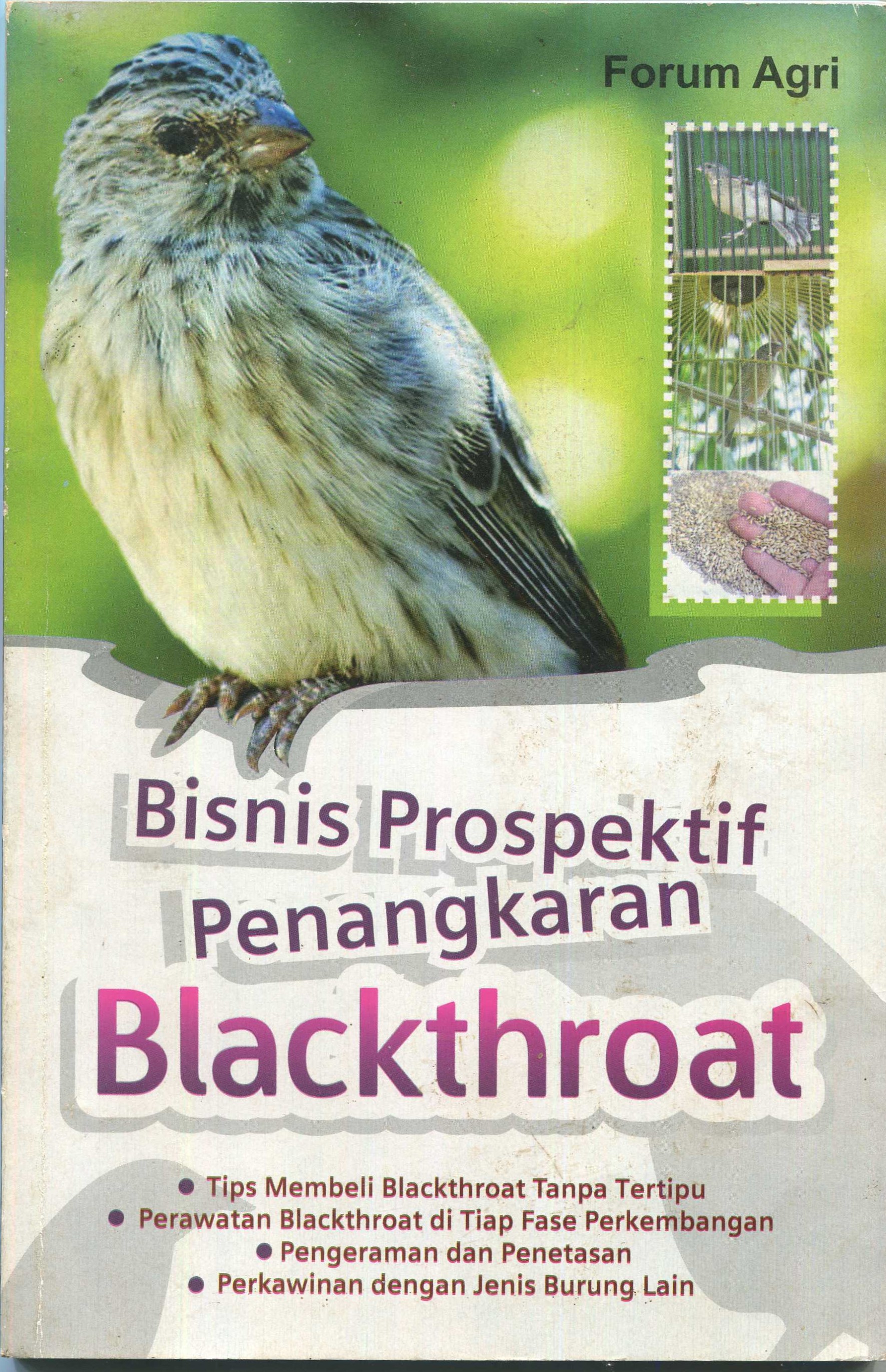 Cover Bisnis Prospektif Penangkaran Blackthroat / Forum Agri