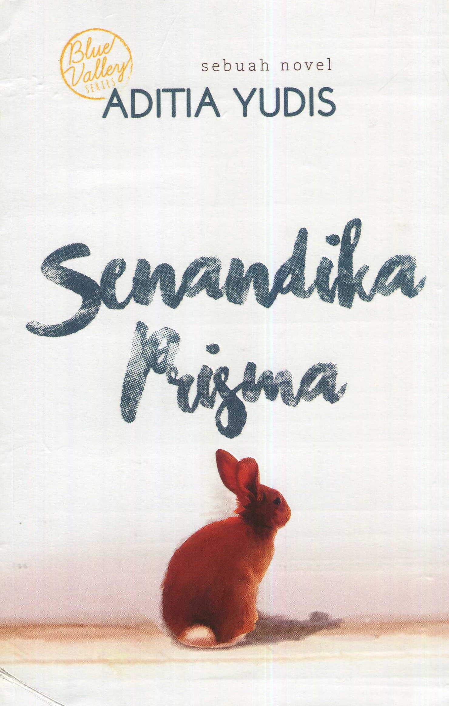 Cover Senandika Prisma / Aditia Yudis