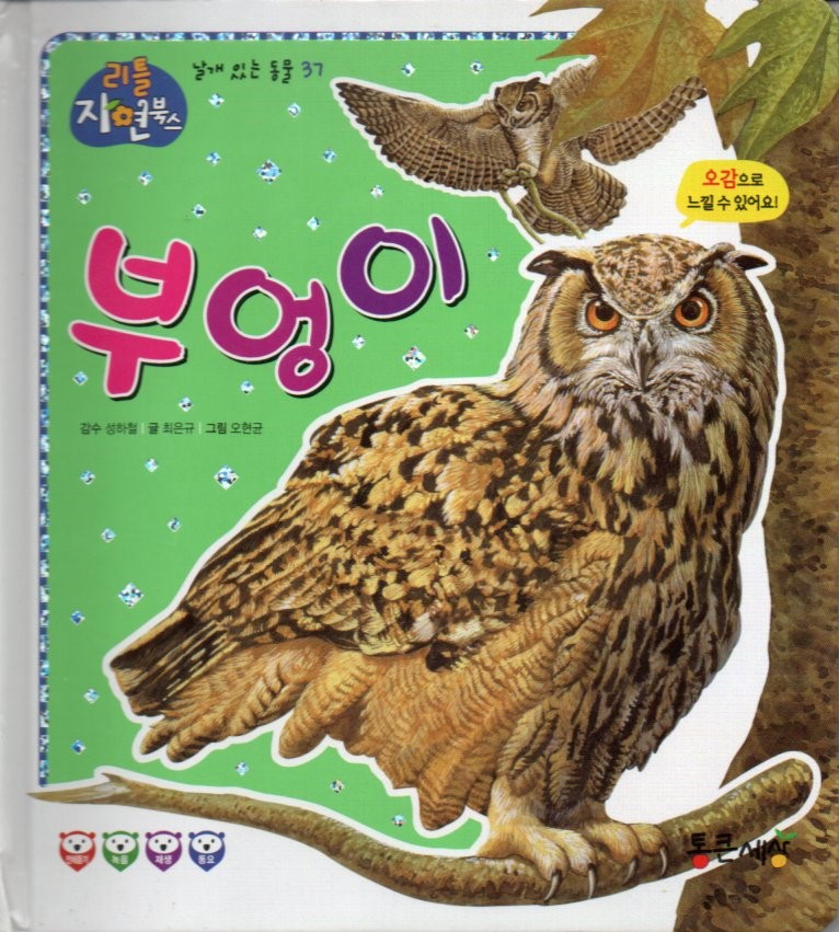 Cover Burung Hantu / Choi Eun-gyu