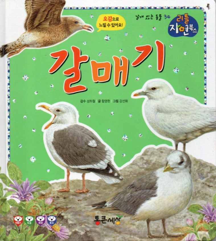 Cover Camar / Ham Young-hyeon
