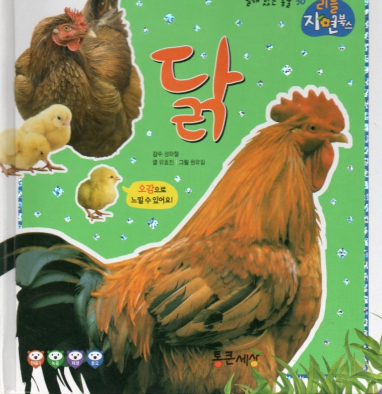Cover Ayam / Yoo Hyo-jin