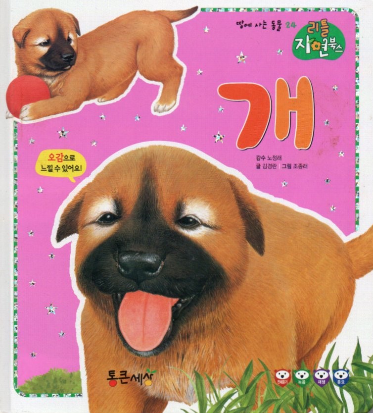 Cover Anjing / Kim Gyeong-ran