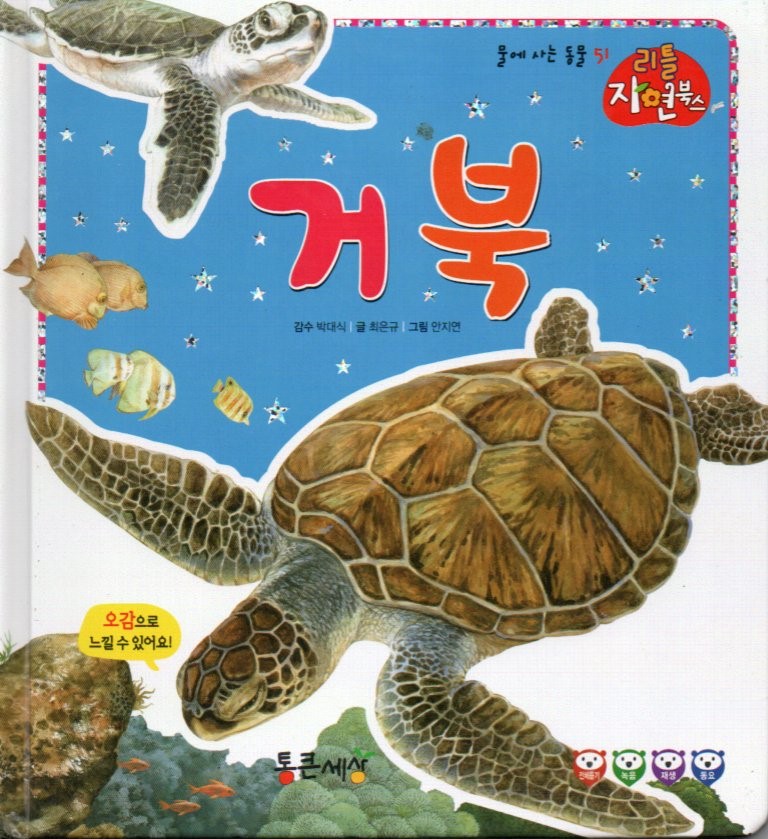 Cover Penyu / Choi Eun-gyu