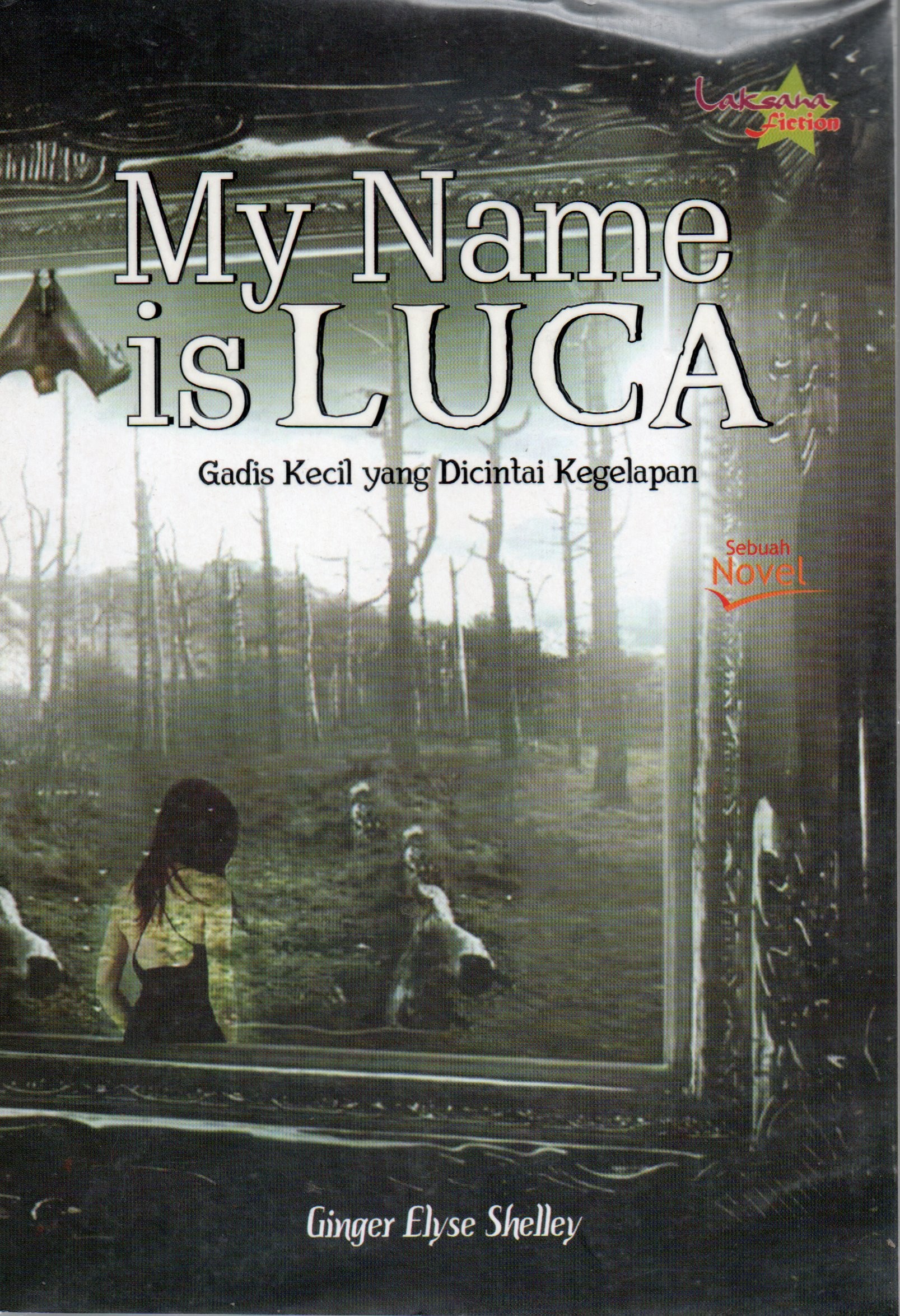 Cover My Name is Luca / Ginger Elyese Shelley