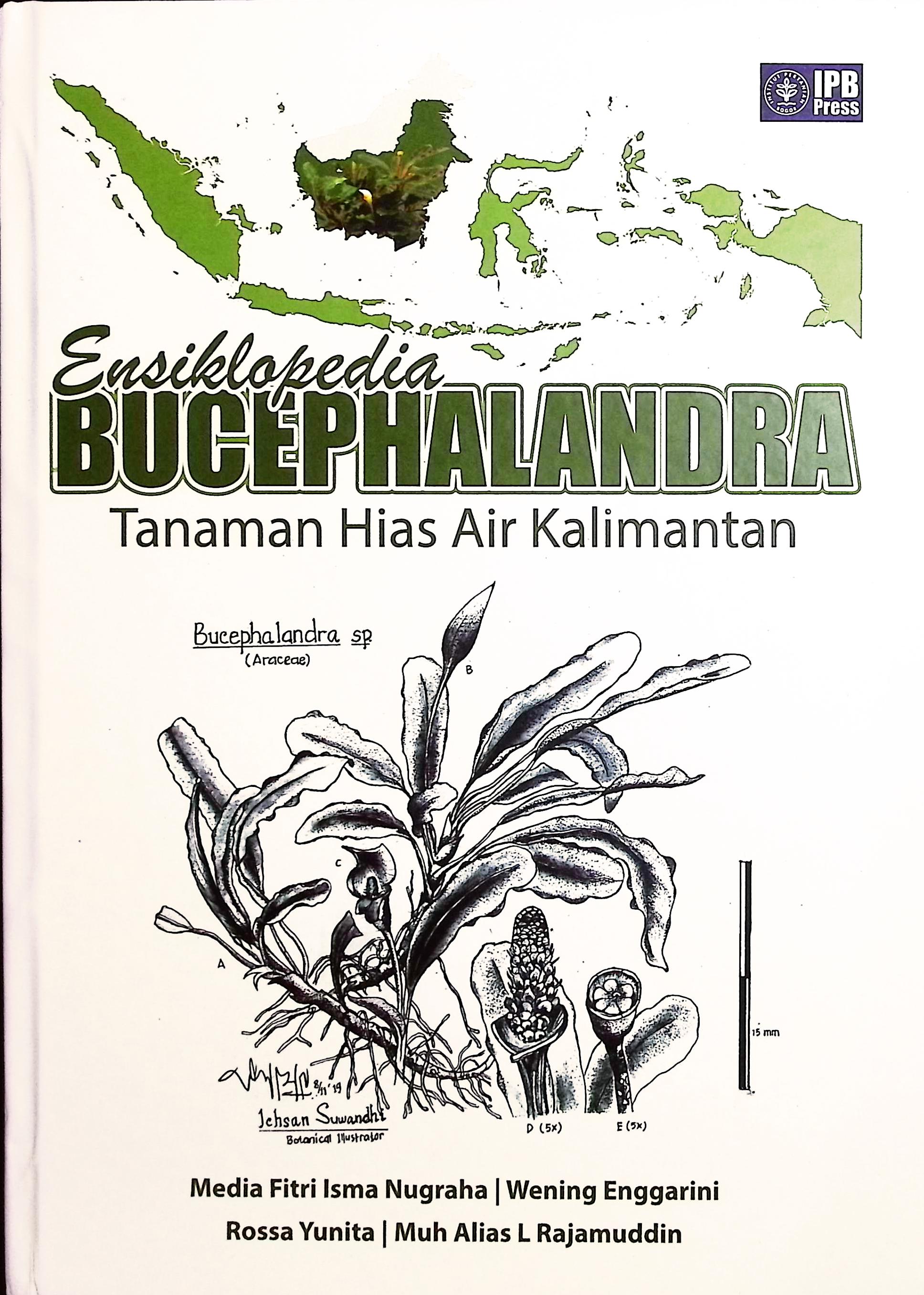 Cover Ensiklopedi bucephalandra :  tanaman hias air Kalimantan / Media Fitri Isma Nugraha, Wening Enggarini, Rossa Yunita, Muh Alias L Rajamuddin; editor, Prof. Dr. Ir. Sudrajat, MS, Prof. Dr. Ir. Roni Koneri, MS, Dr. Ir. Syarifah Iis Aisyah, MScAgr, Dr. Ir. Irzal Effendi, M.Si