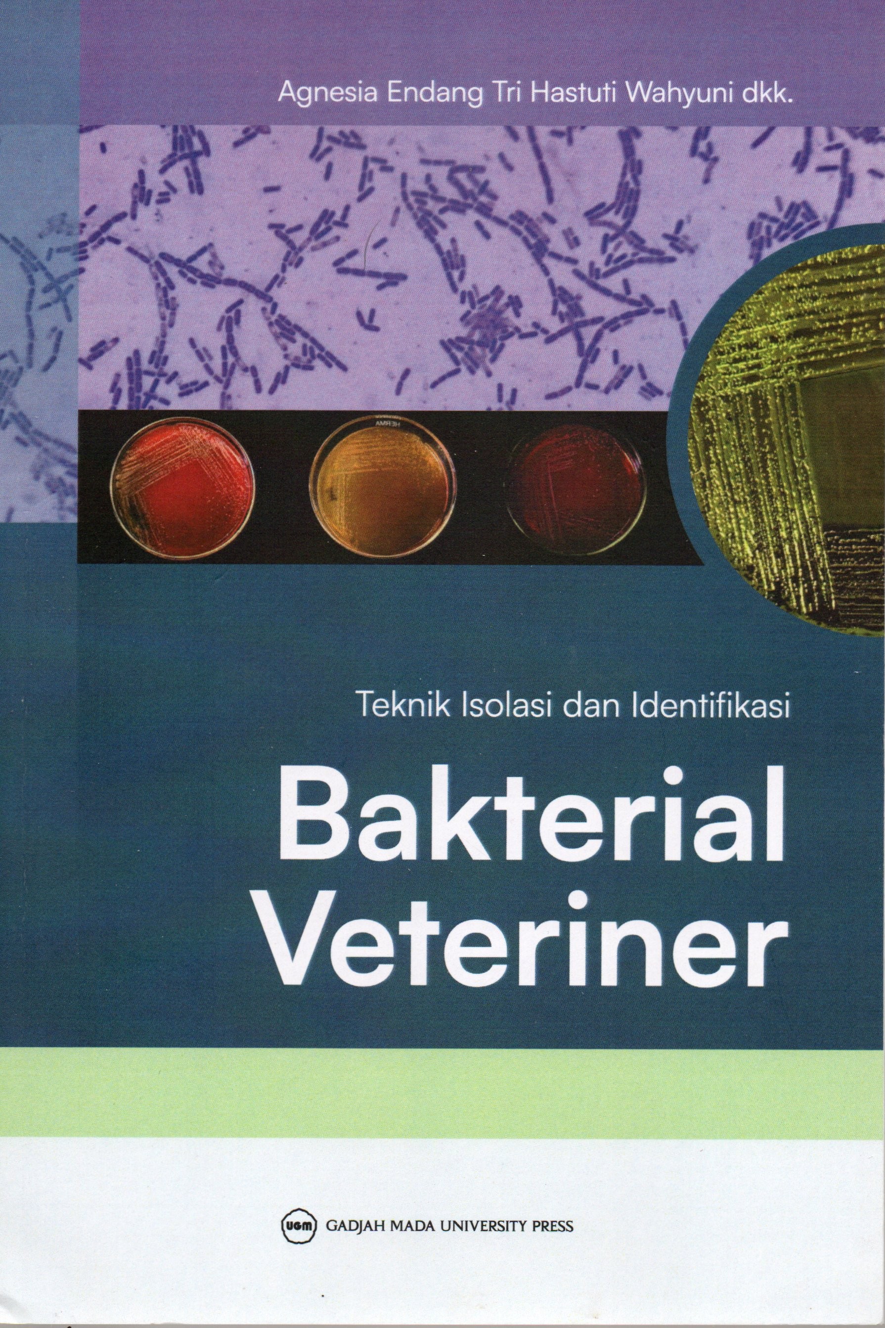 Cover Teknik isolasi dan identifikasi bakterial veteriner / Agnesia Endang Tri Hastuti Wahyuni, Widya Asmara, Tri Untari, Michael Haryadi Wibowo, Fadhli Nanda Putra, Ferdinand Prayogo Cahyo Santoso
