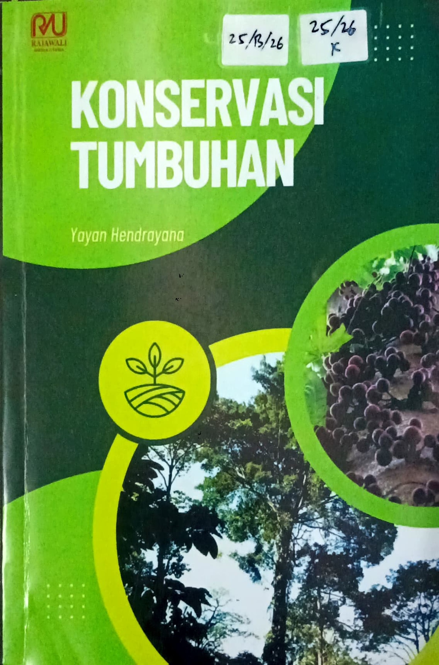Cover Konservasi tumbuhan / Yayan Hendrayana; editor, Ilham  Adhya, Mas Subagyo Eko Prasetyo