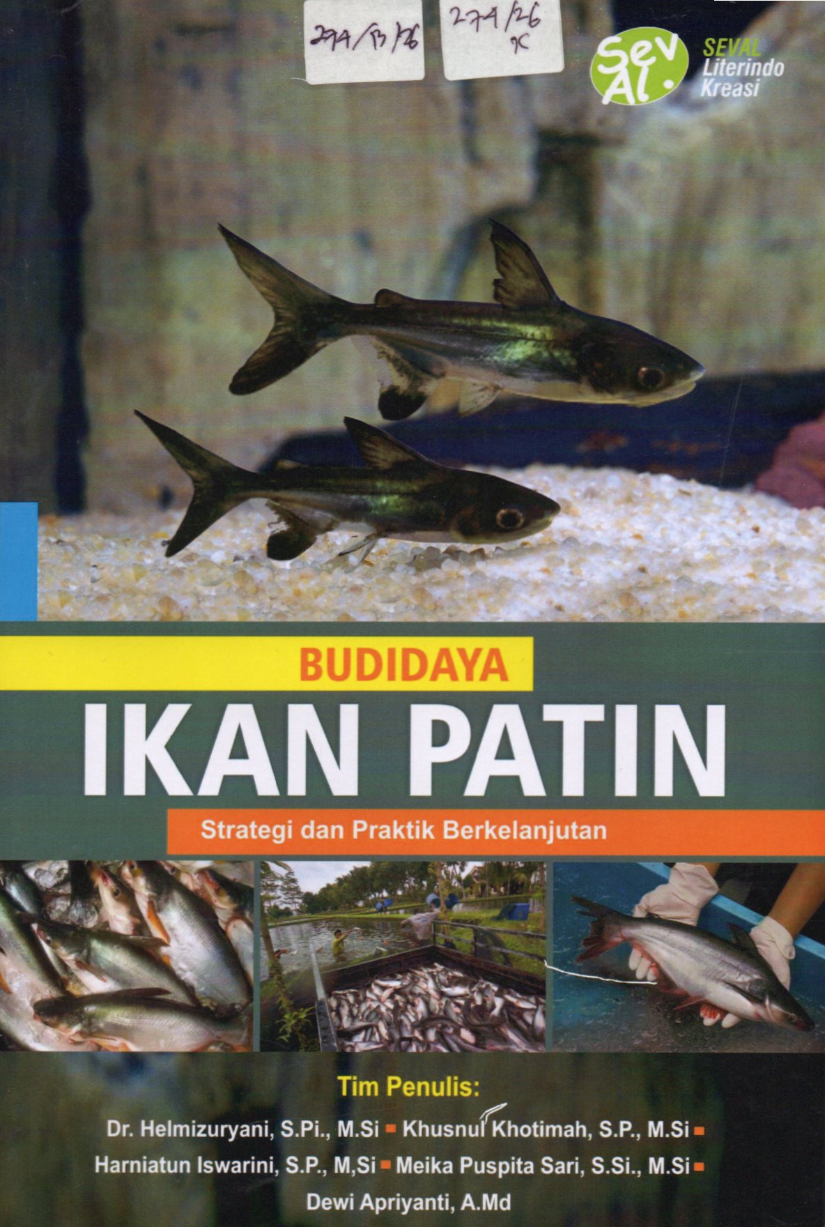 Cover Budidaya Ikan Patin :  Strategi dan Praktik Berkelanjutan / Dr. Helimizuryani, S.Pi.,M.Si, dkk
