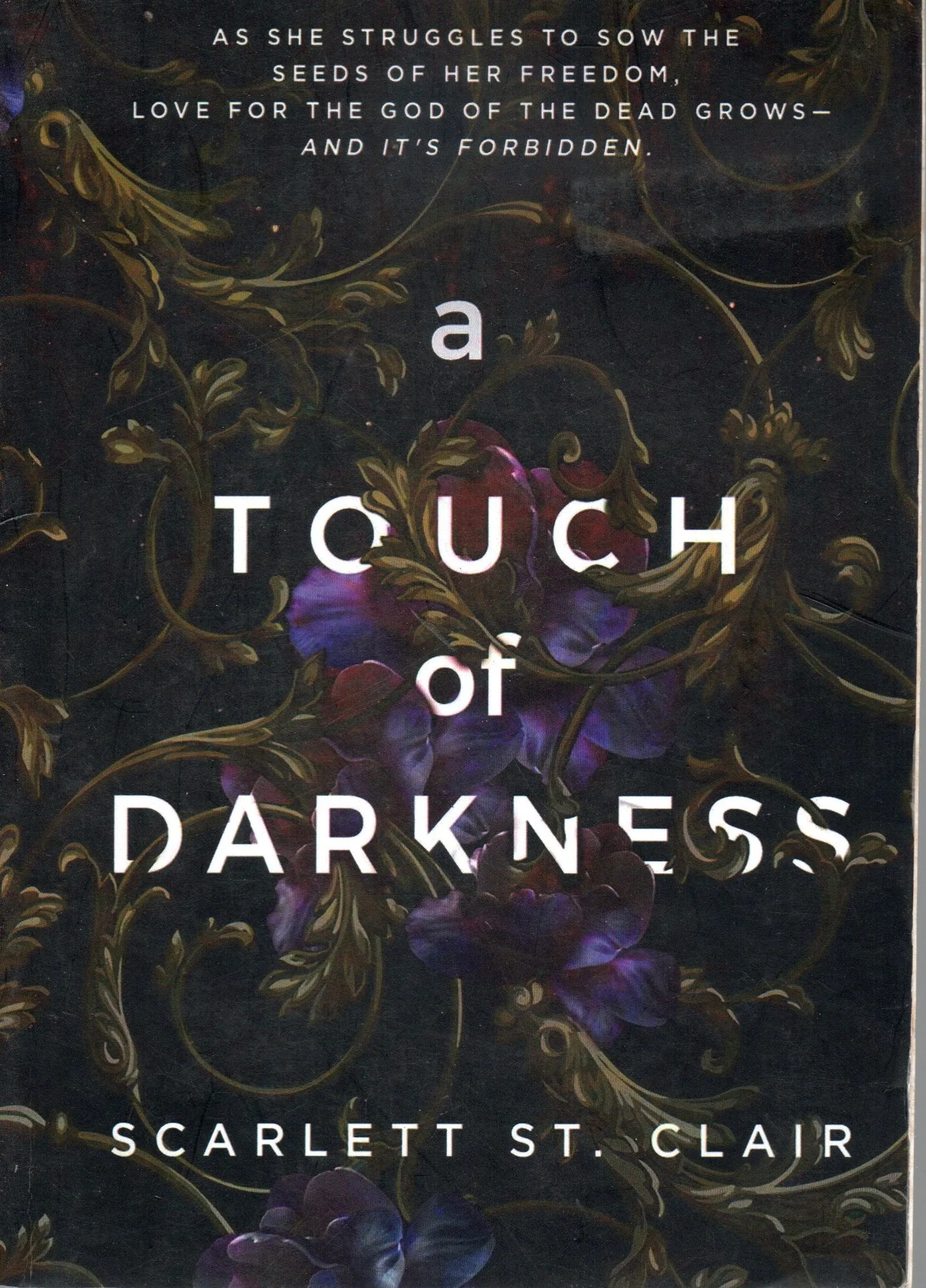 Cover Touch of Darkness / Clair, Scarlett St.