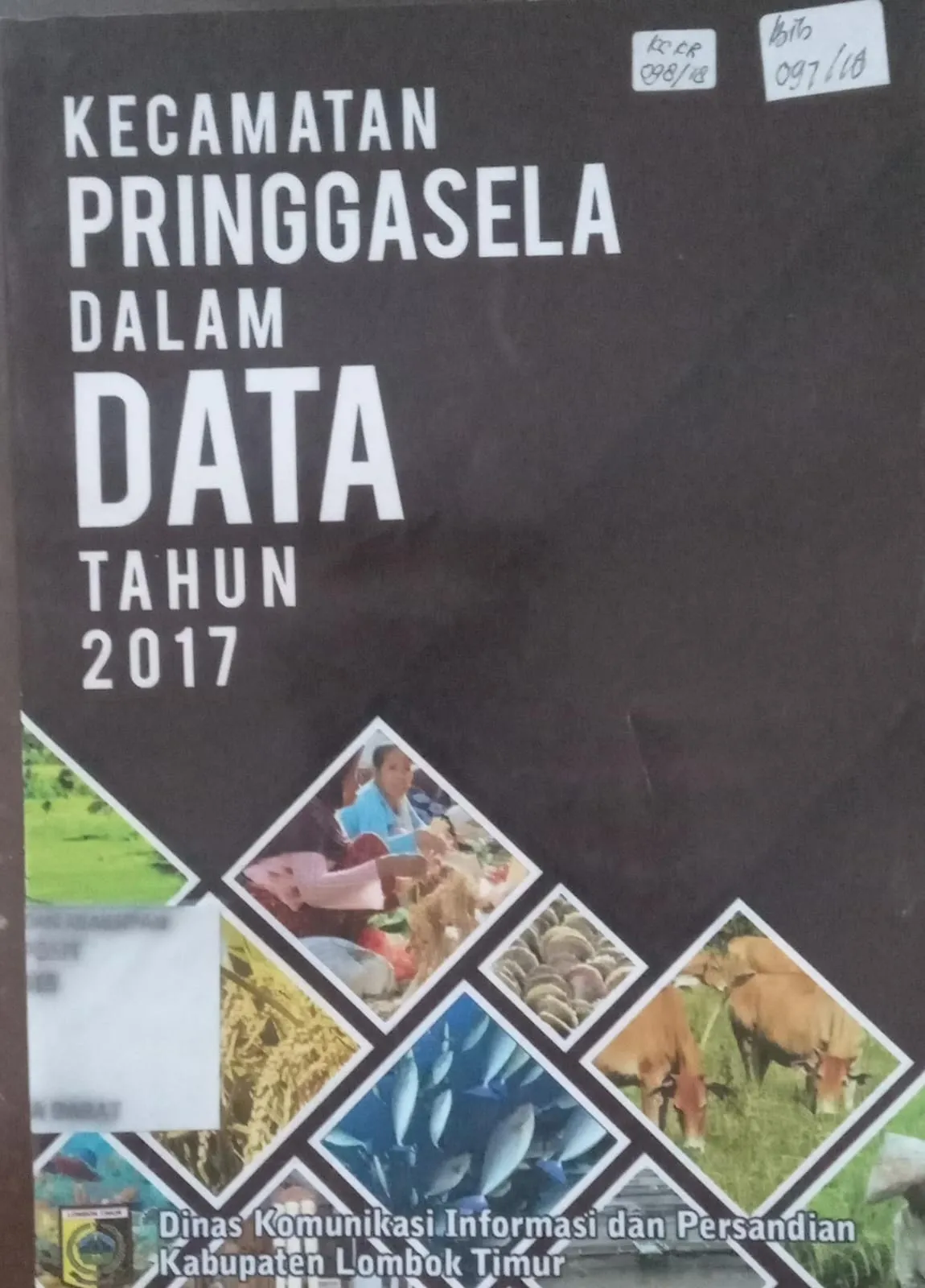 Cover Kecamatan Pringgasela Dalam Data Tahun 2017 / Dinas Komunikasi informasi dan Persandian Kabupaten Lombok Timur