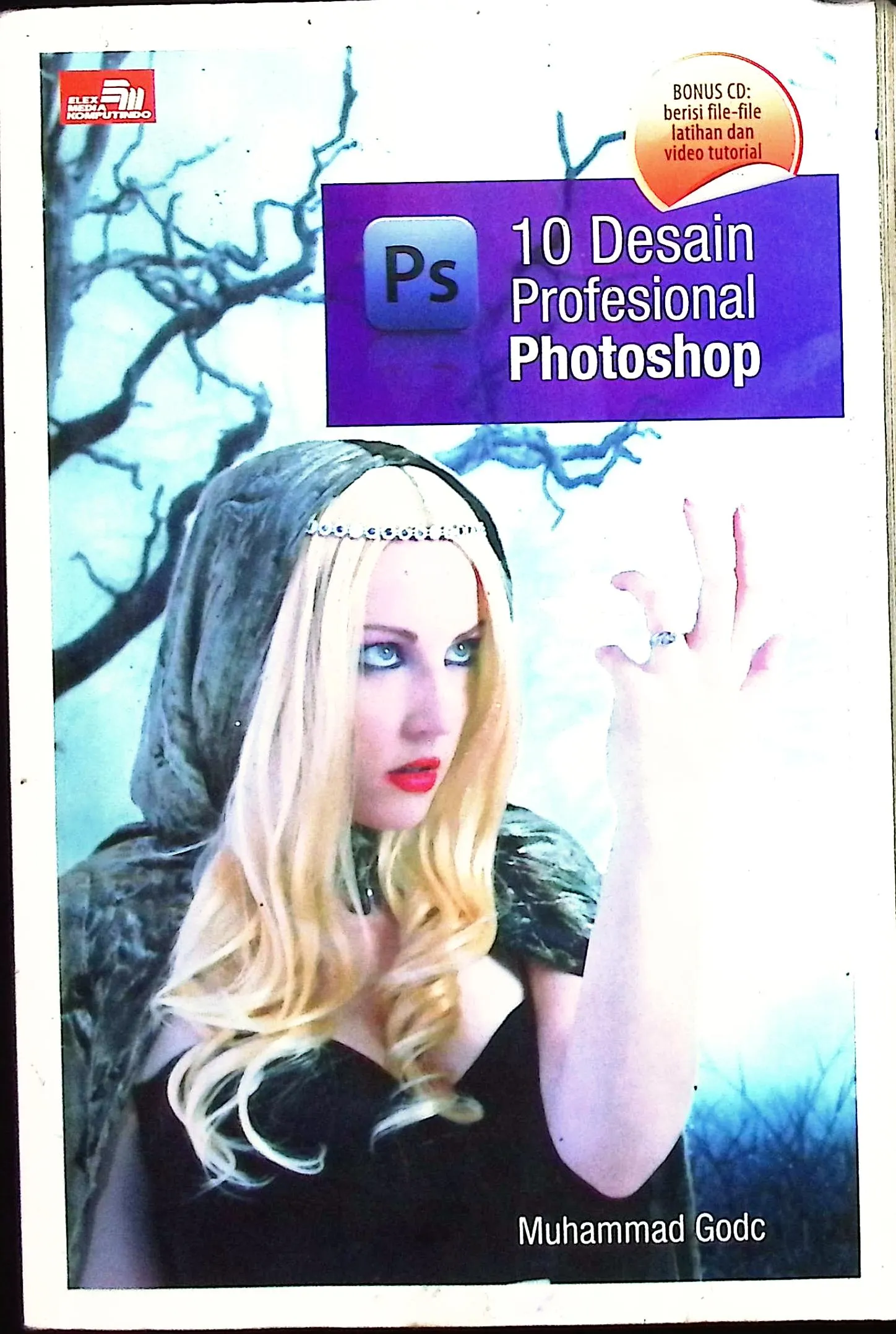 Cover Sepuluh desain profesional photoshop / Muhammad Godc