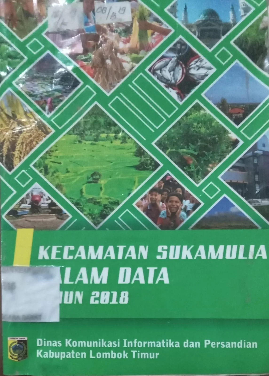 Cover Kecamatan Sukamulia Dalam Data Tahun 2018 / Dinas Komunikasi informasi dan Persandian Kabupaten Lombok Timur