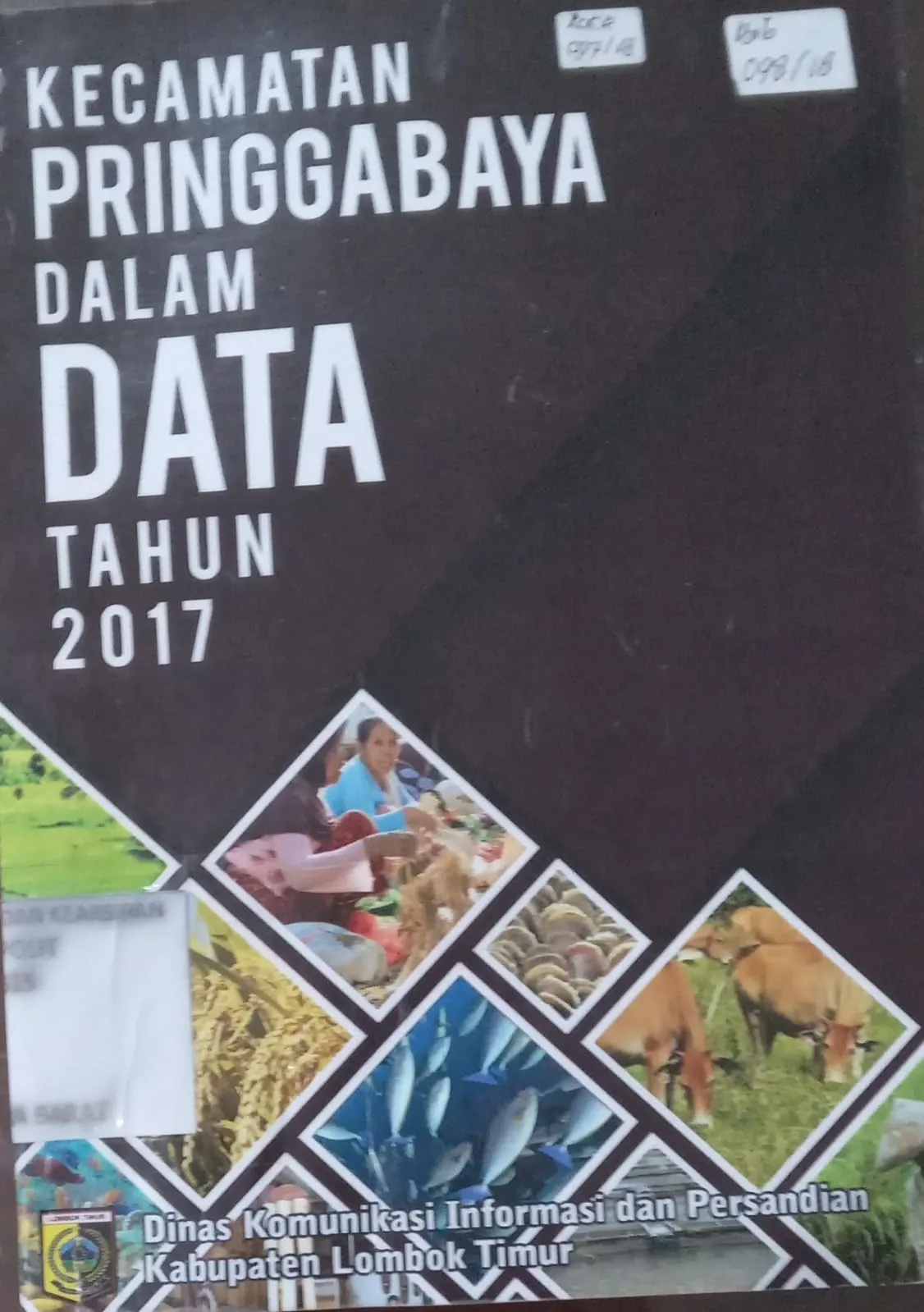 Cover Kecamatan Pringgabaya dalam Data Tahun 2017 / Dinas Komunikasi Informasi dan Persandian Kabupaten Lombok Timur
