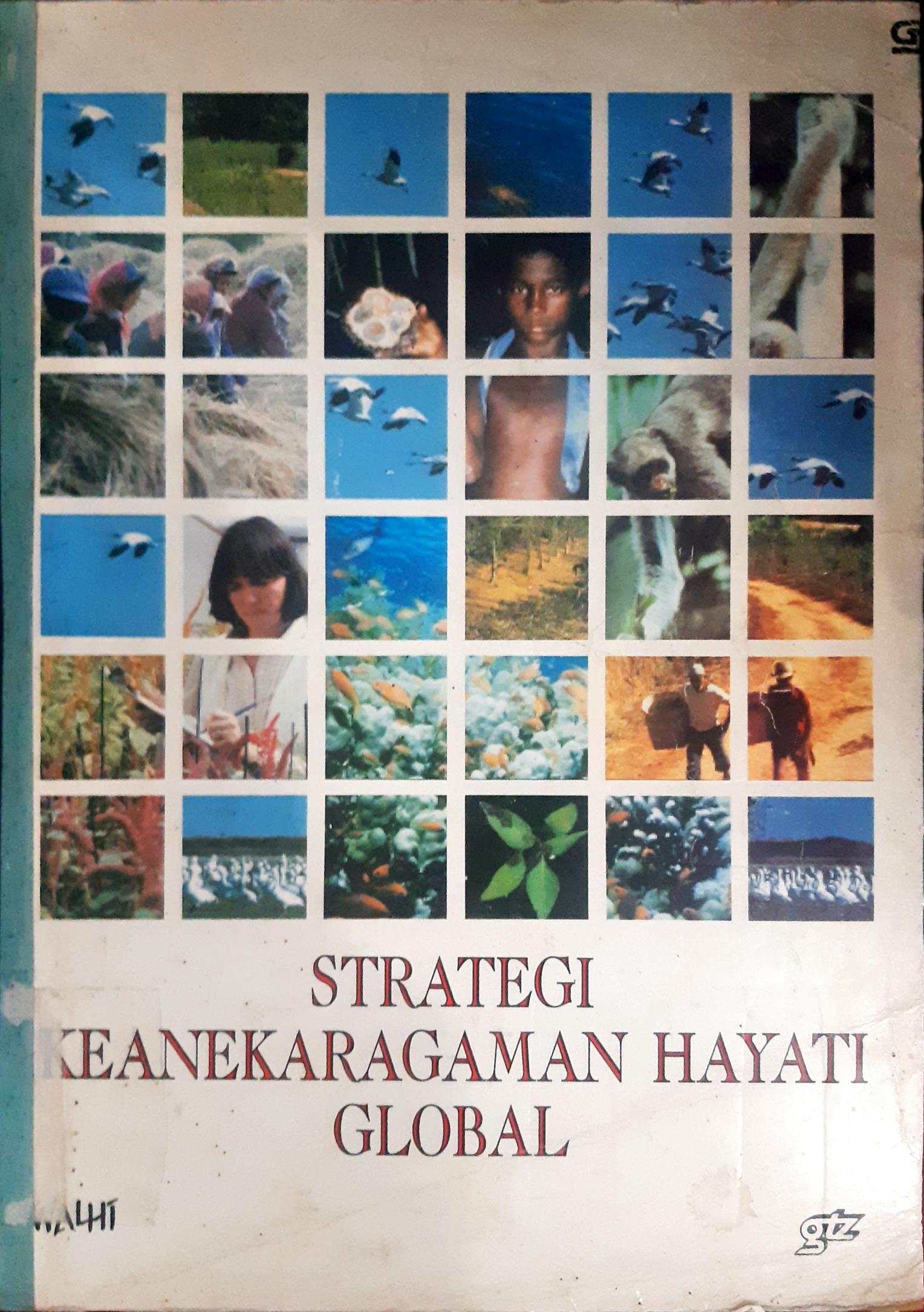 Cover Strategi keanekaragaman hayati global :  Panduan bagi tindakan untuk menyelamatkan, mempelajari, dan memanfaatkan kekayaan biotik bumi secara berkelanjutan dan seimbang / Alih bahasa, Sid Perrett