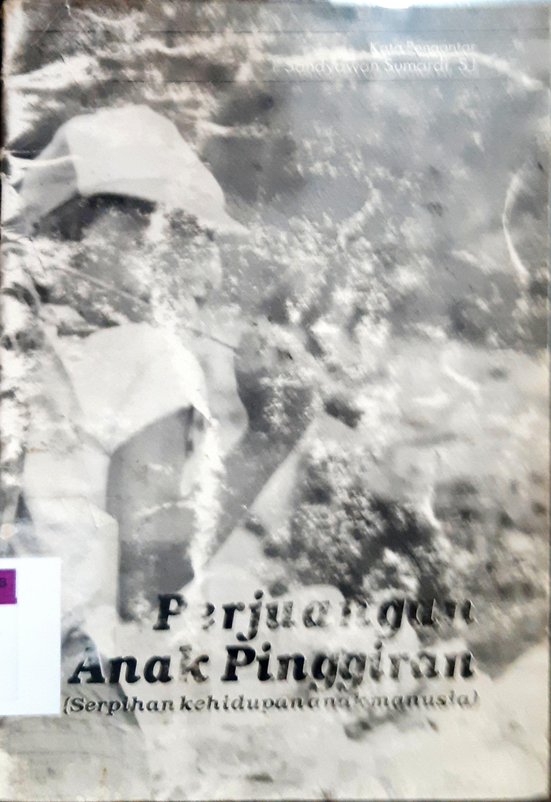 Cover Perjuangan anak pinggiran ( serpihan kehidupan anak manusia ) / Palupi, / Palupi, Purnama Adil Marata; Antonio Prajasto. --