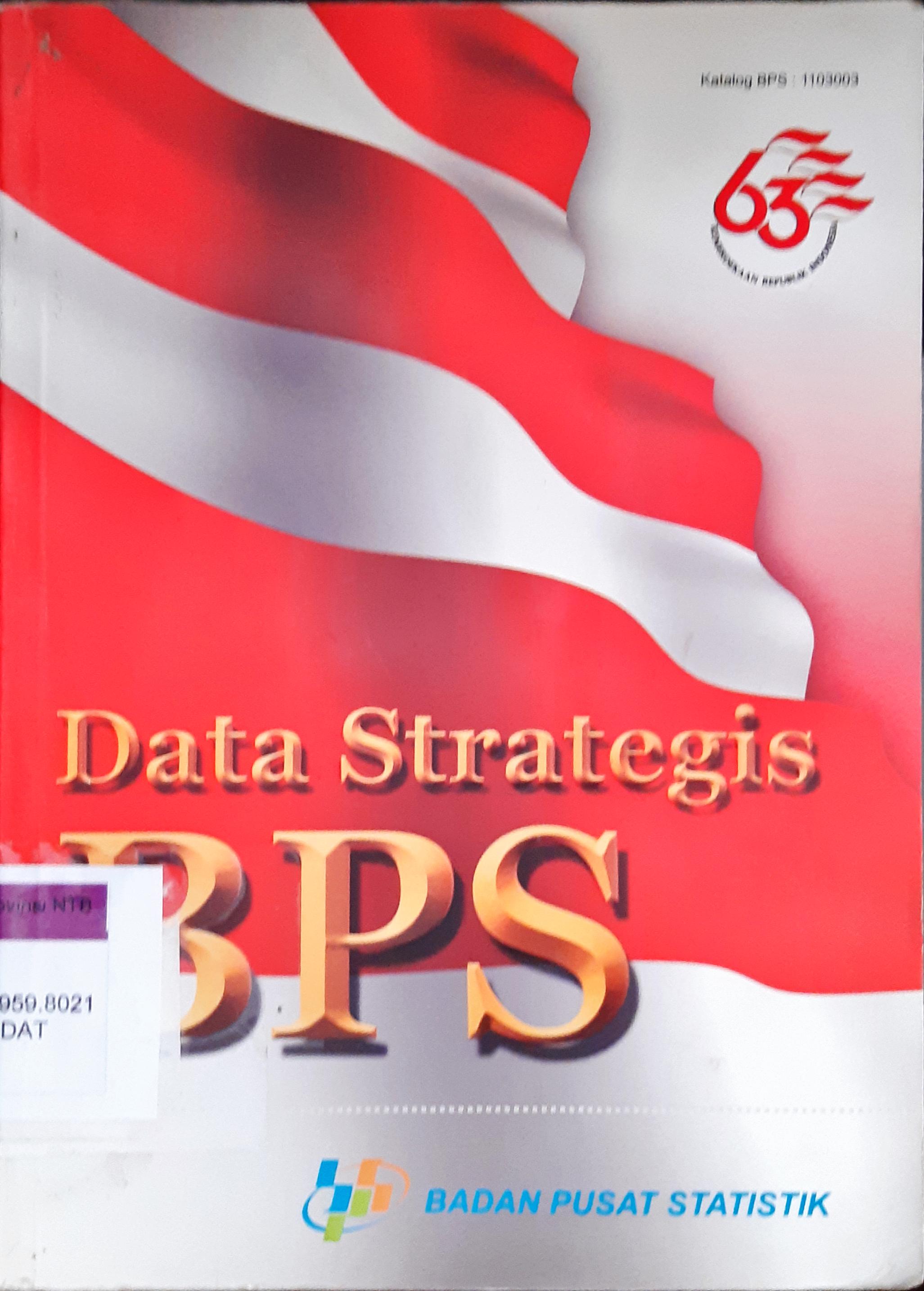 Cover Data strategis BPS, Badan Pusat statistik