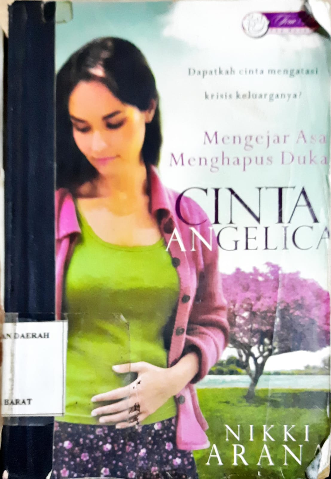 Cover Mengejar asa menghapus duka cinta angelica / Nikki arana