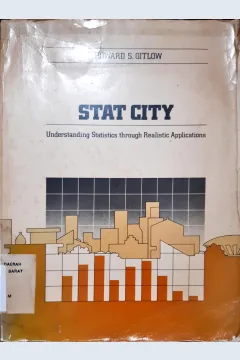 Cover Stat City :  Understanding statistics through realistic applications / Howard S. Gitlow; editor, Robert B.Fetter