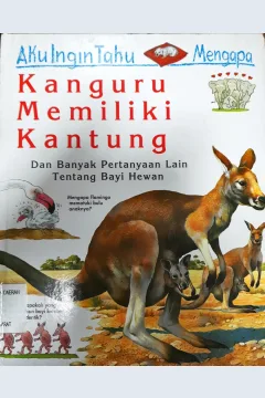 Cover Aku ingin tahu mengapa kanguru memiliki kantung dan banyak pertanyaan lainnya tentang bayi hewan / Jenny Wood