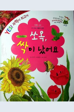 Cover Sook, Kecambah Sudah Bertumbuh / Hong Yong-Hoon