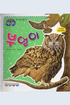 Cover Burung Hantu / Choi Eun-gyu