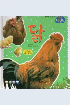 Cover Ayam / Yoo Hyo-jin