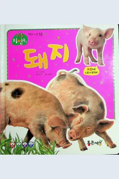 Cover Babi / Choi Eun-Gyu