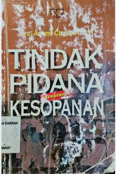 Cover Tindak pidana mengenai kesopanan / Adam Chazawi