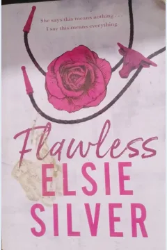 Cover Kota kecil musuh pecinta romansa / Silver, Elsie
