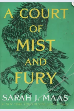 Cover Court of mist and fury / Maas, Sarah J.