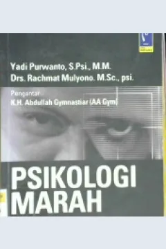 Cover Psikologi marah :  Perspektif psikologi islami / Yadi Purwanto, S.Psi., Drs. Rachmat Mulyono, M.Sc. P.Si. ; Editor, Rose Herlina