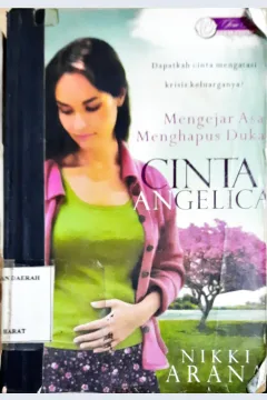 Cover Mengejar asa menghapus duka cinta angelica / Nikki arana
