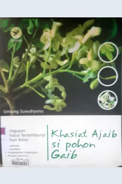 Cover Khasiat ajaib si pohon gaib , mengupas rahasia tersembunyi pohon kelor / Untung Suwahyono ; edfitor , FL.Sigit Suyantoro