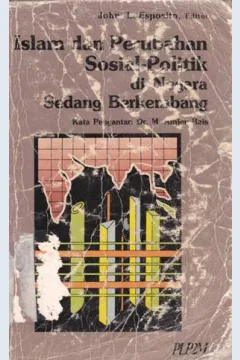 Cover Islam dan perubahan sosial politik di negara sedang berkembang